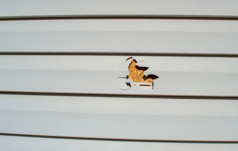 Damaged Vinyl Siding Panel