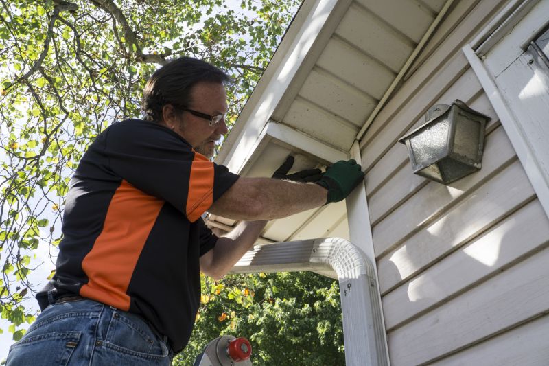 Professional Vinyl Siding Repair Technician